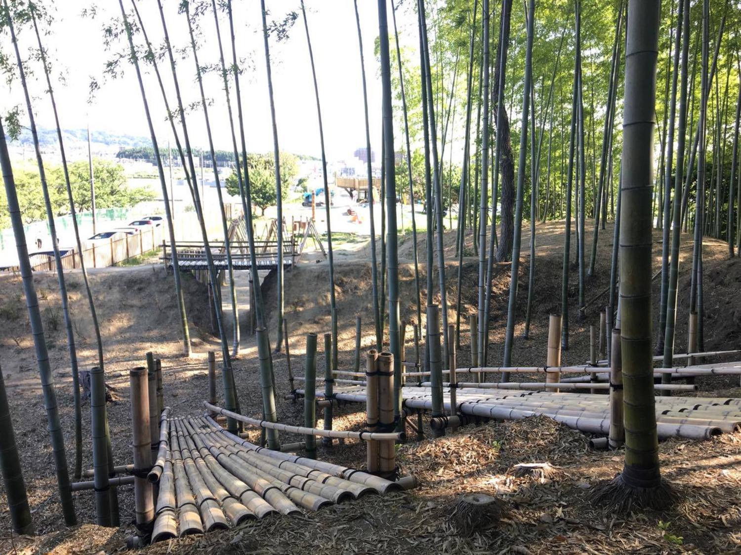 竹やぶの遊び場のお写真です