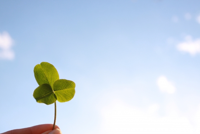 ｲﾒｰｼﾞ画像