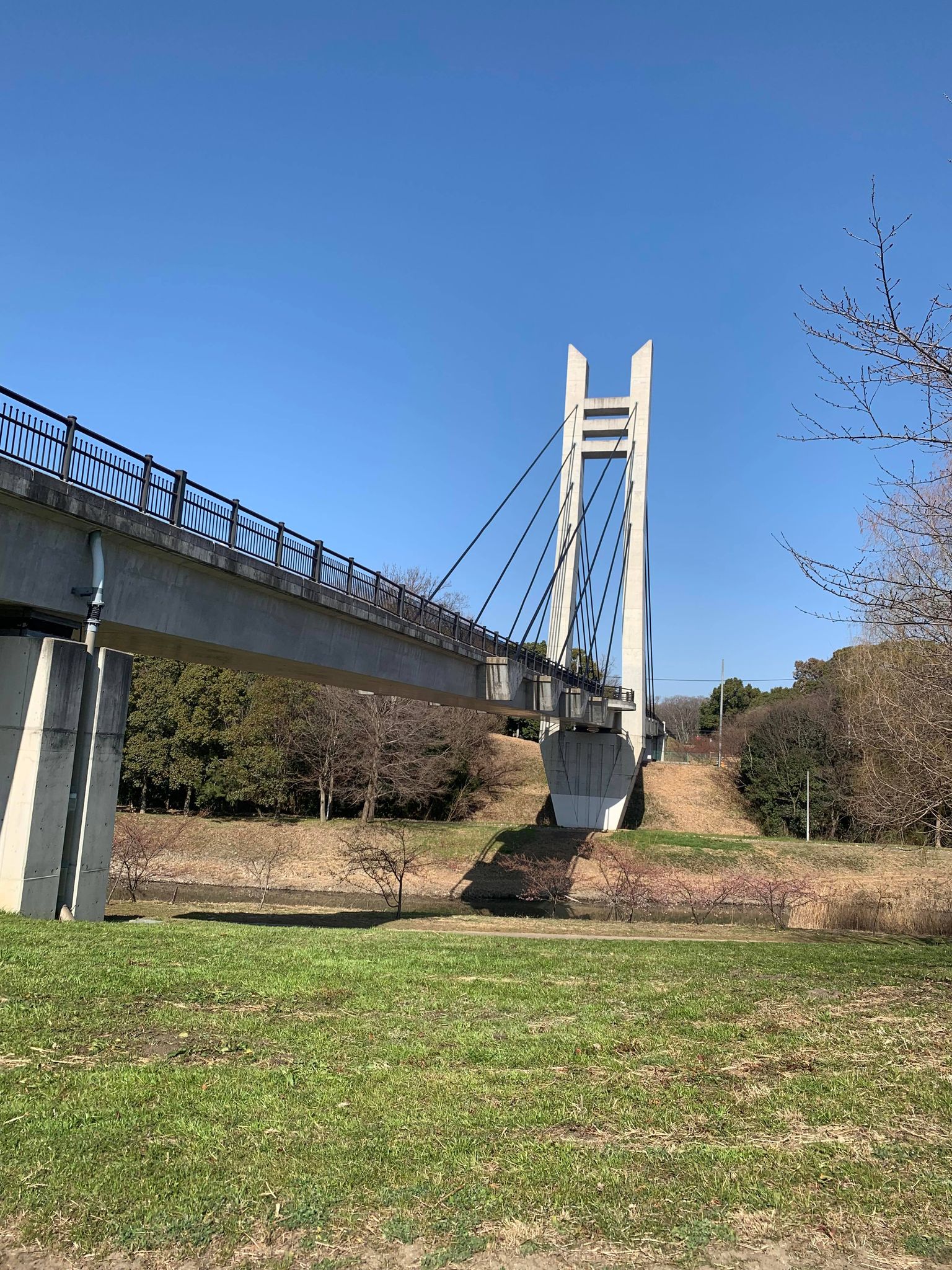 山田池公園