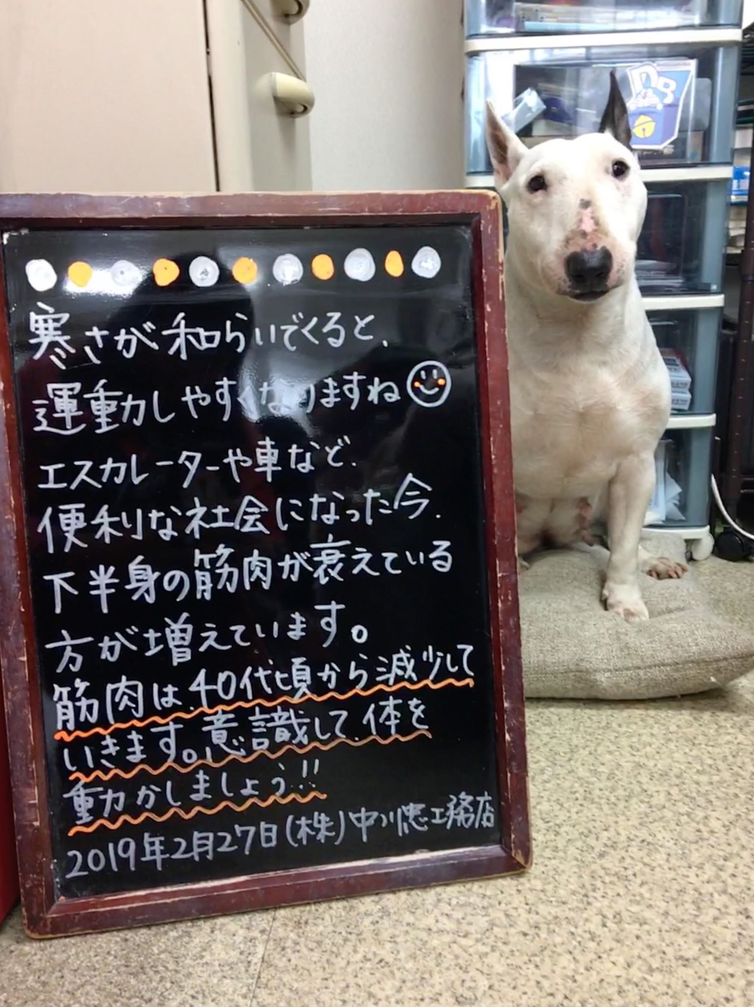 花火と黒板