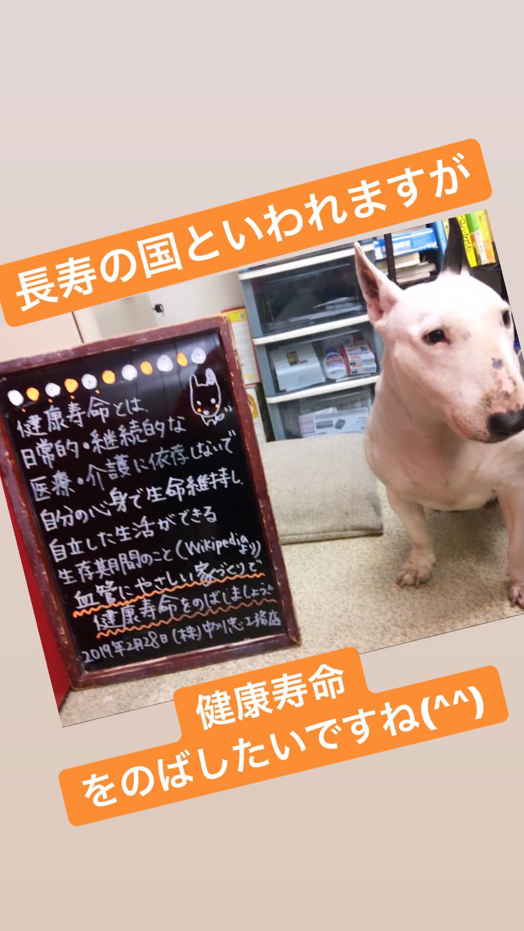 運動