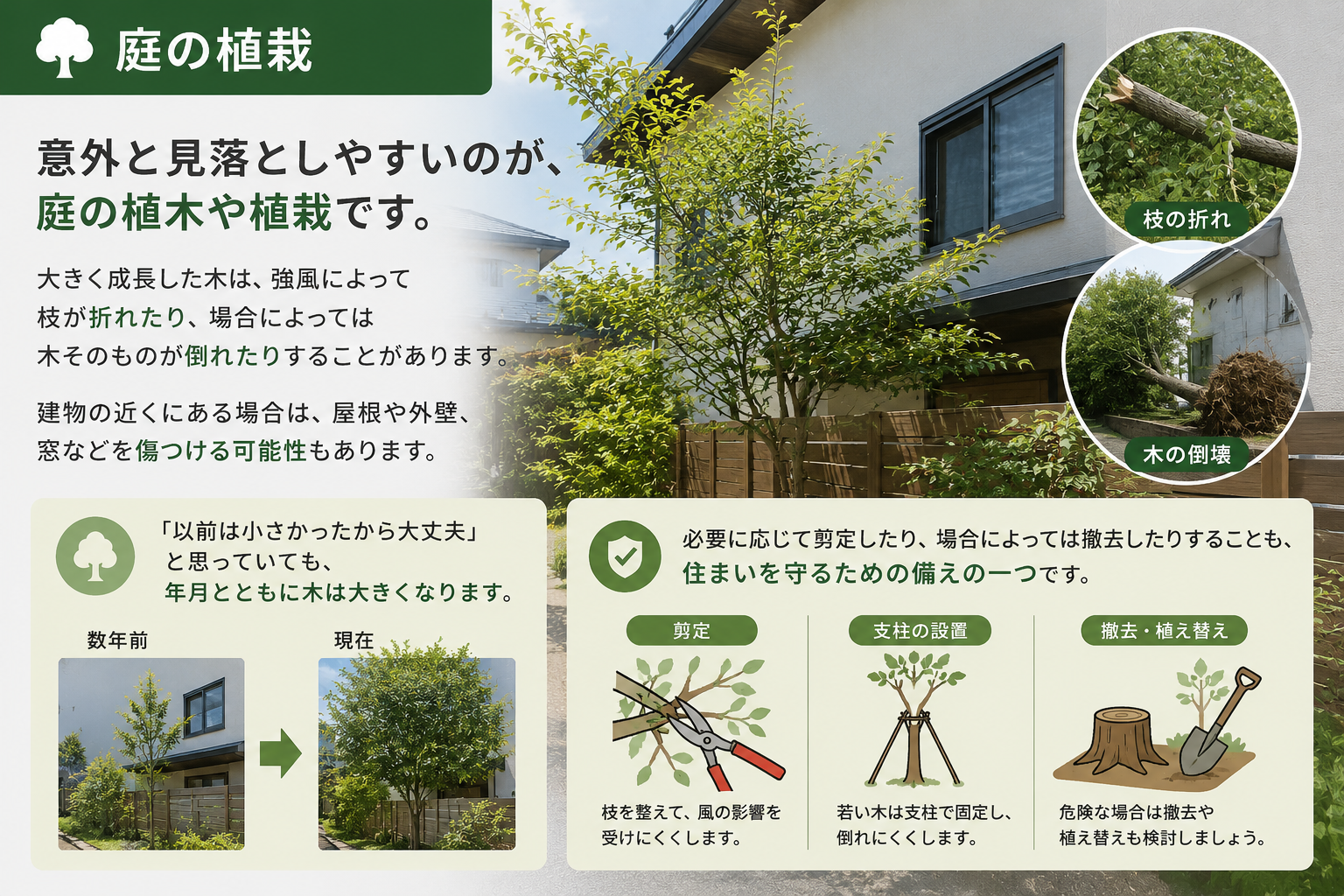 植栽