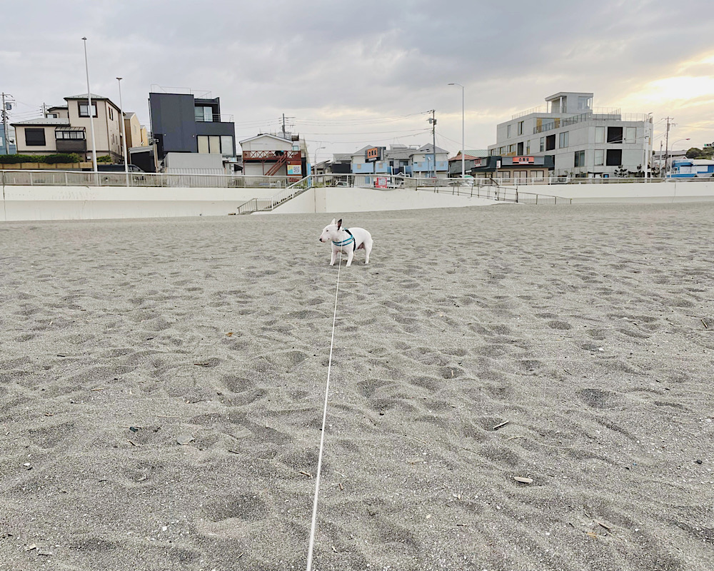 鎌倉の海