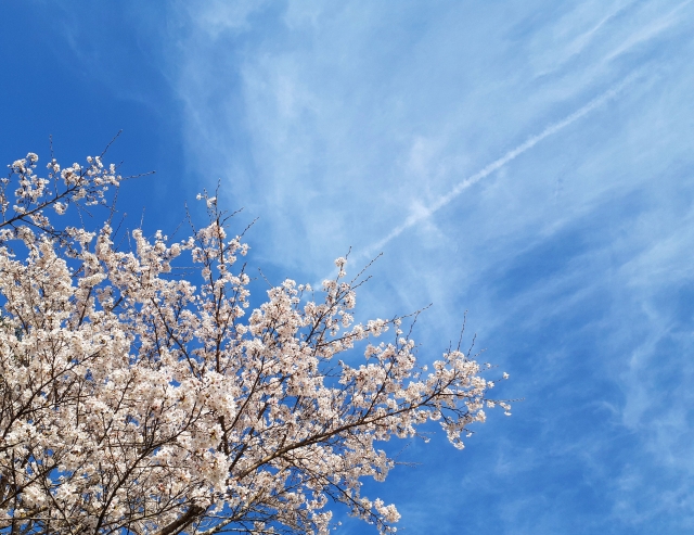 青空